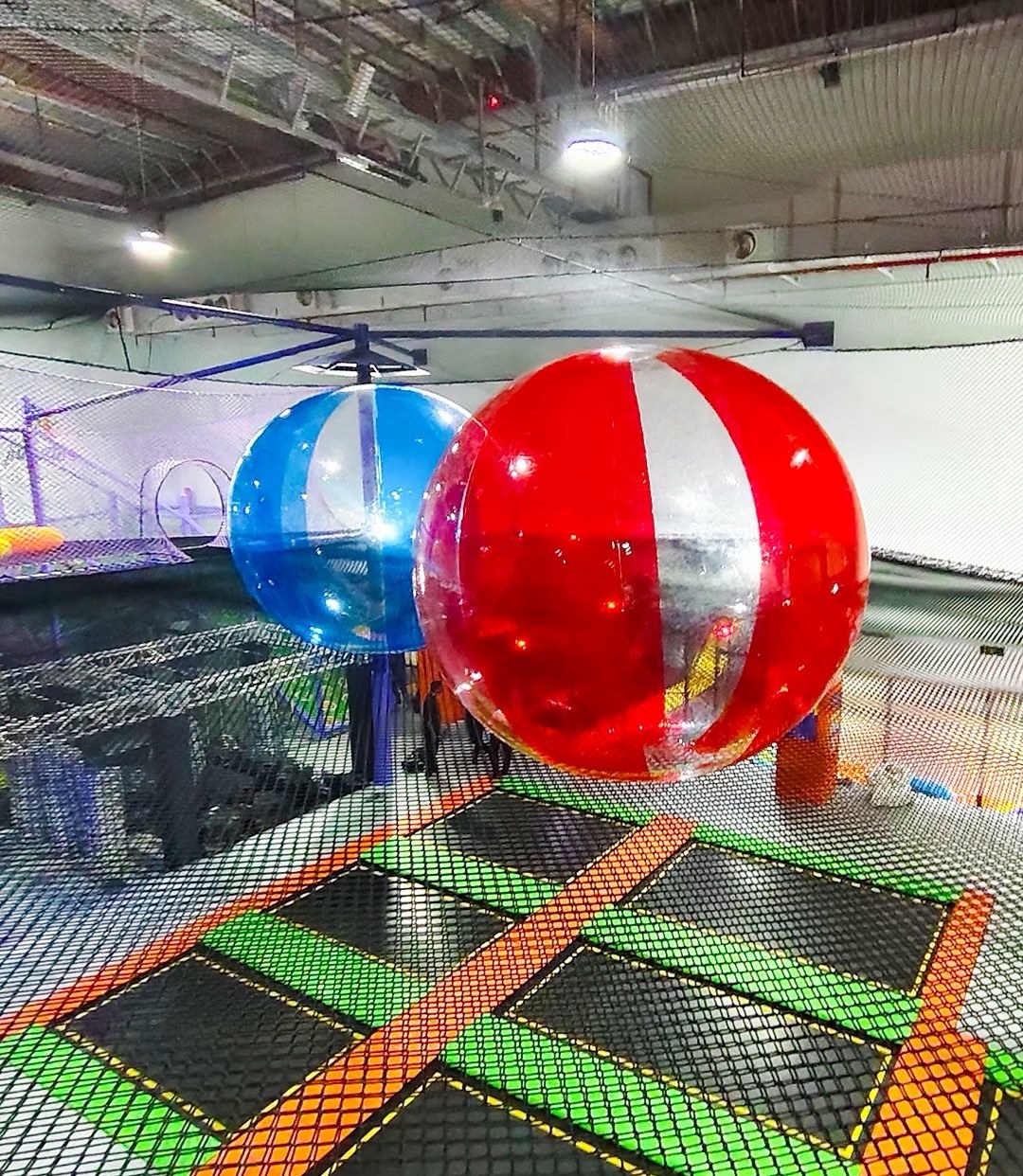 Giant transparent balls rolling over a netted trampoline field