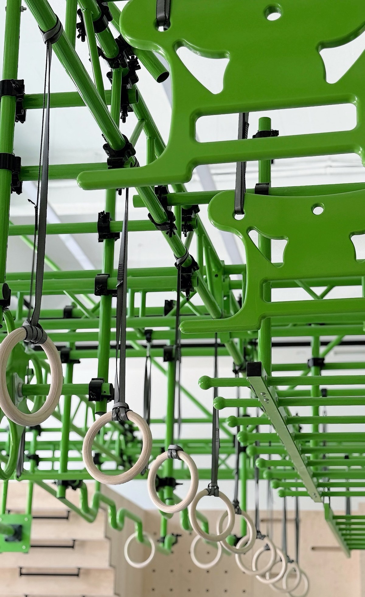 Rows of gymnastic rings hanging from a green steel rig