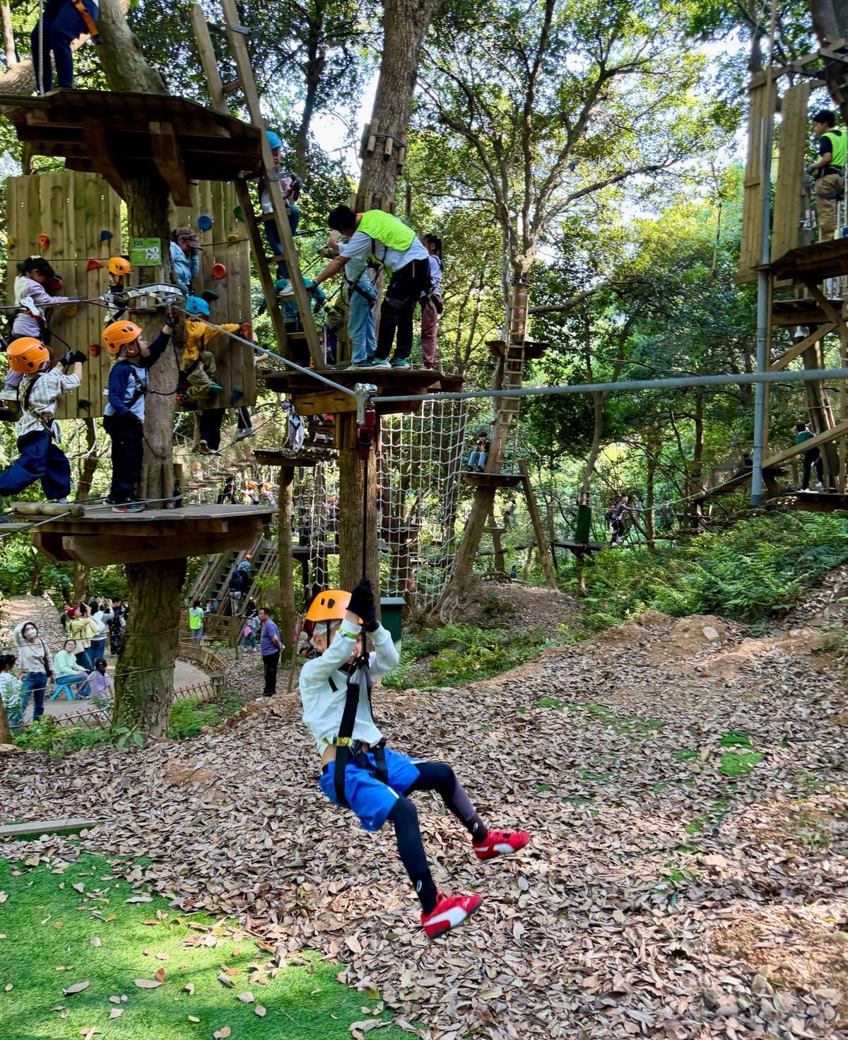 Children on a forest tree-top course with a zip line