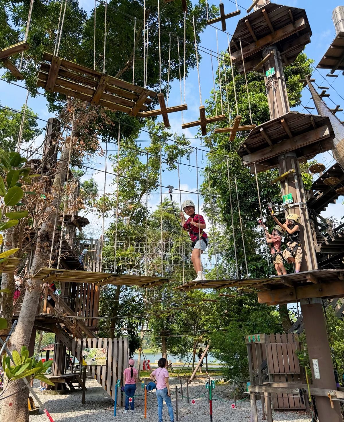 Children crossing platforms and bridges on a treetop adventure course