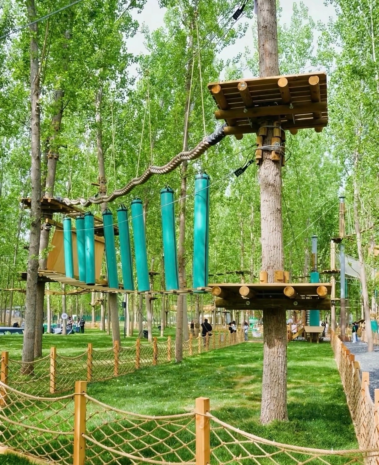 Treetop adventure course platforms between trees